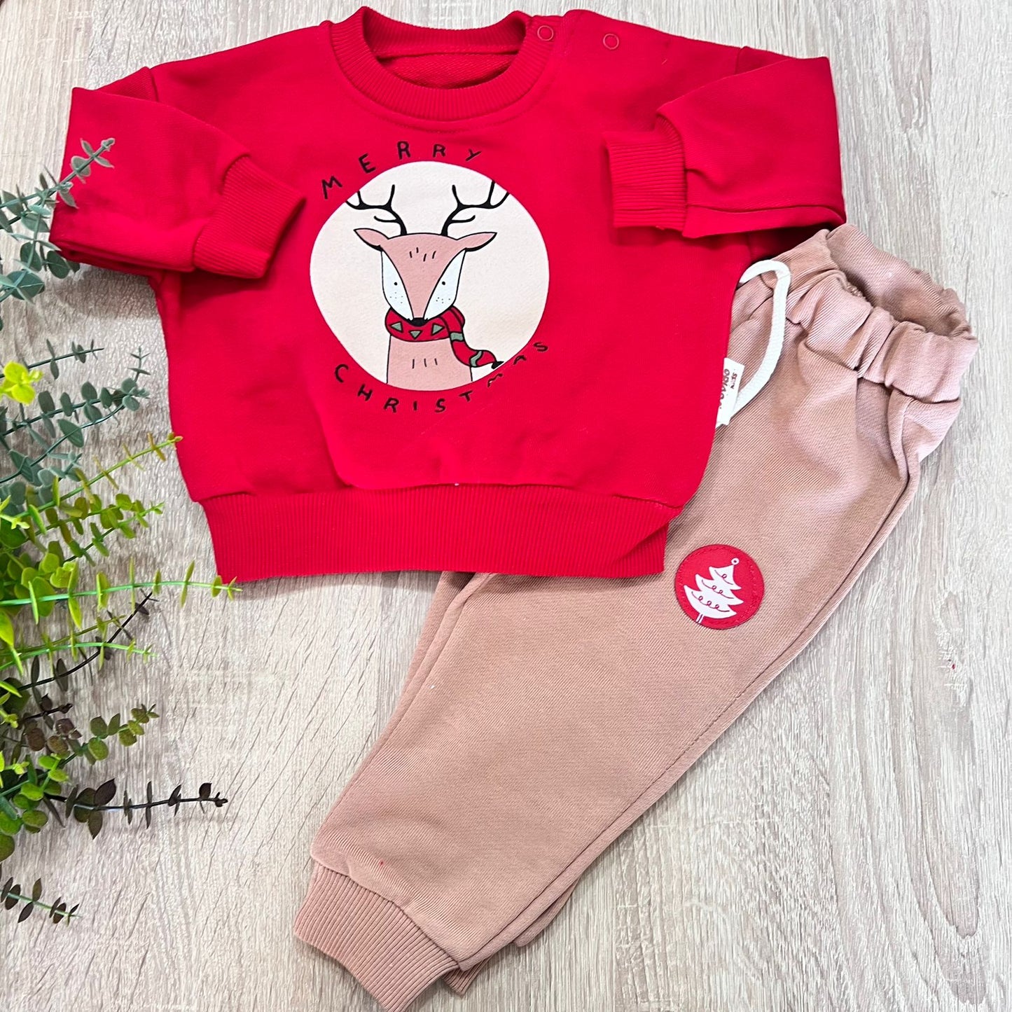 Rudolph set (9-12 months)