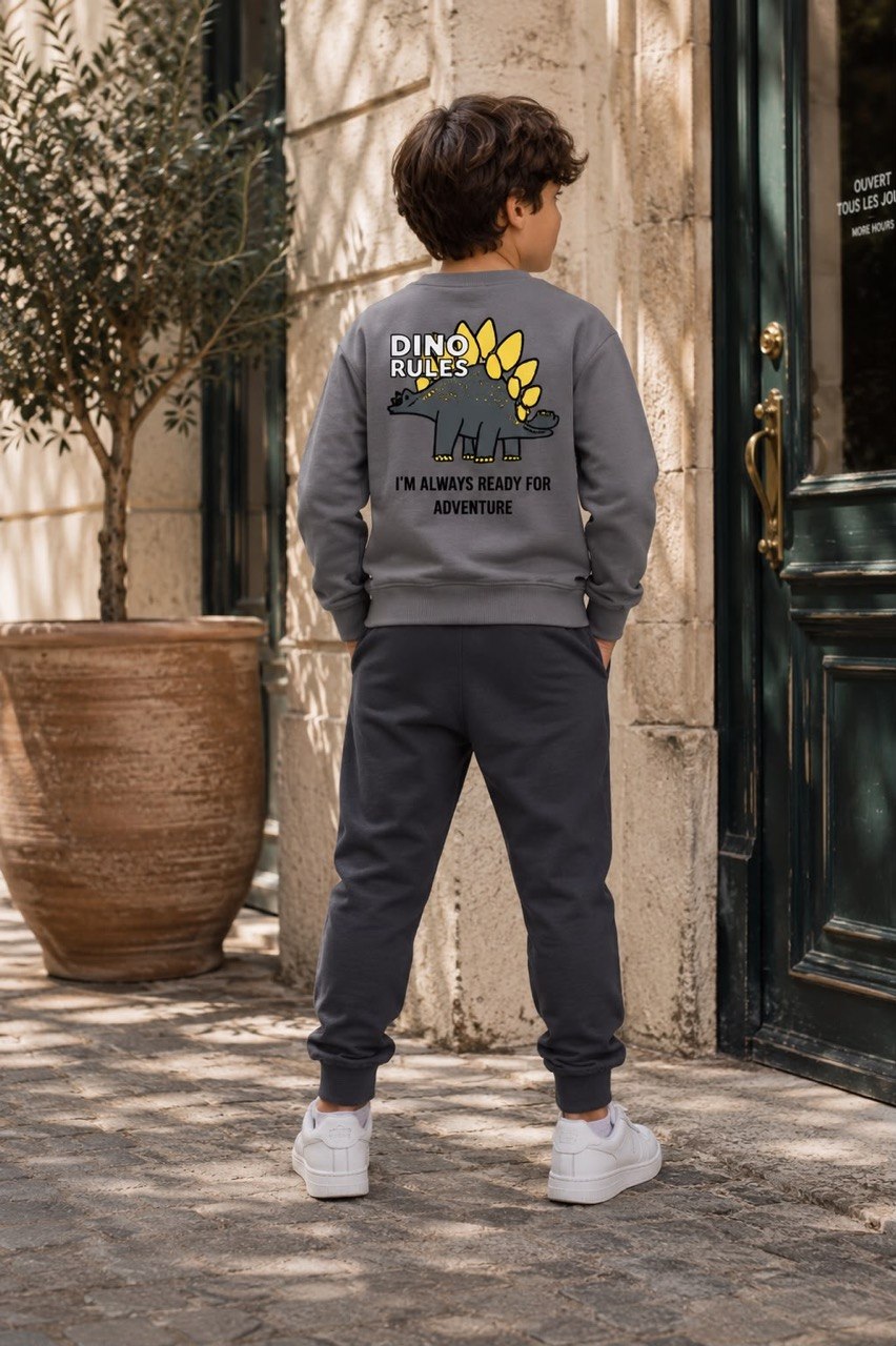 Dino Grey- Cotton Set