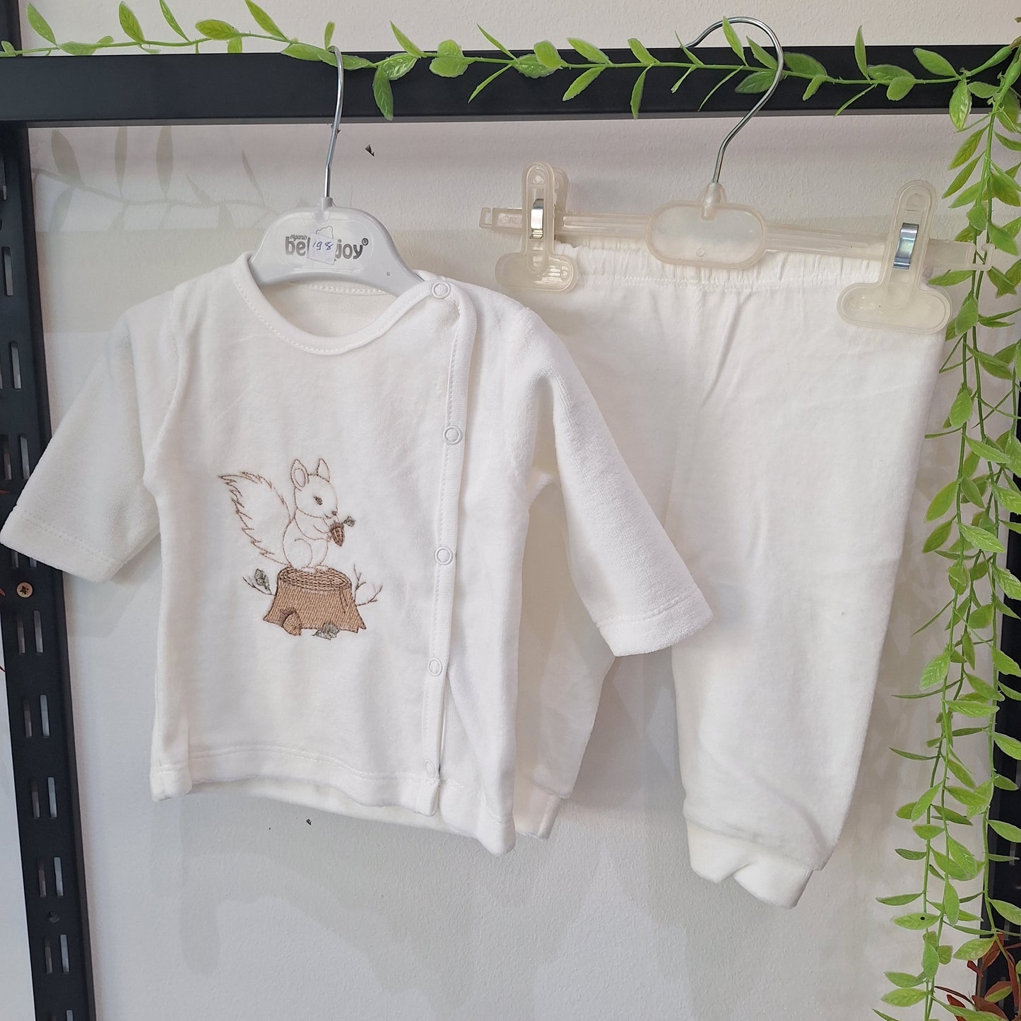 Squirell velour set