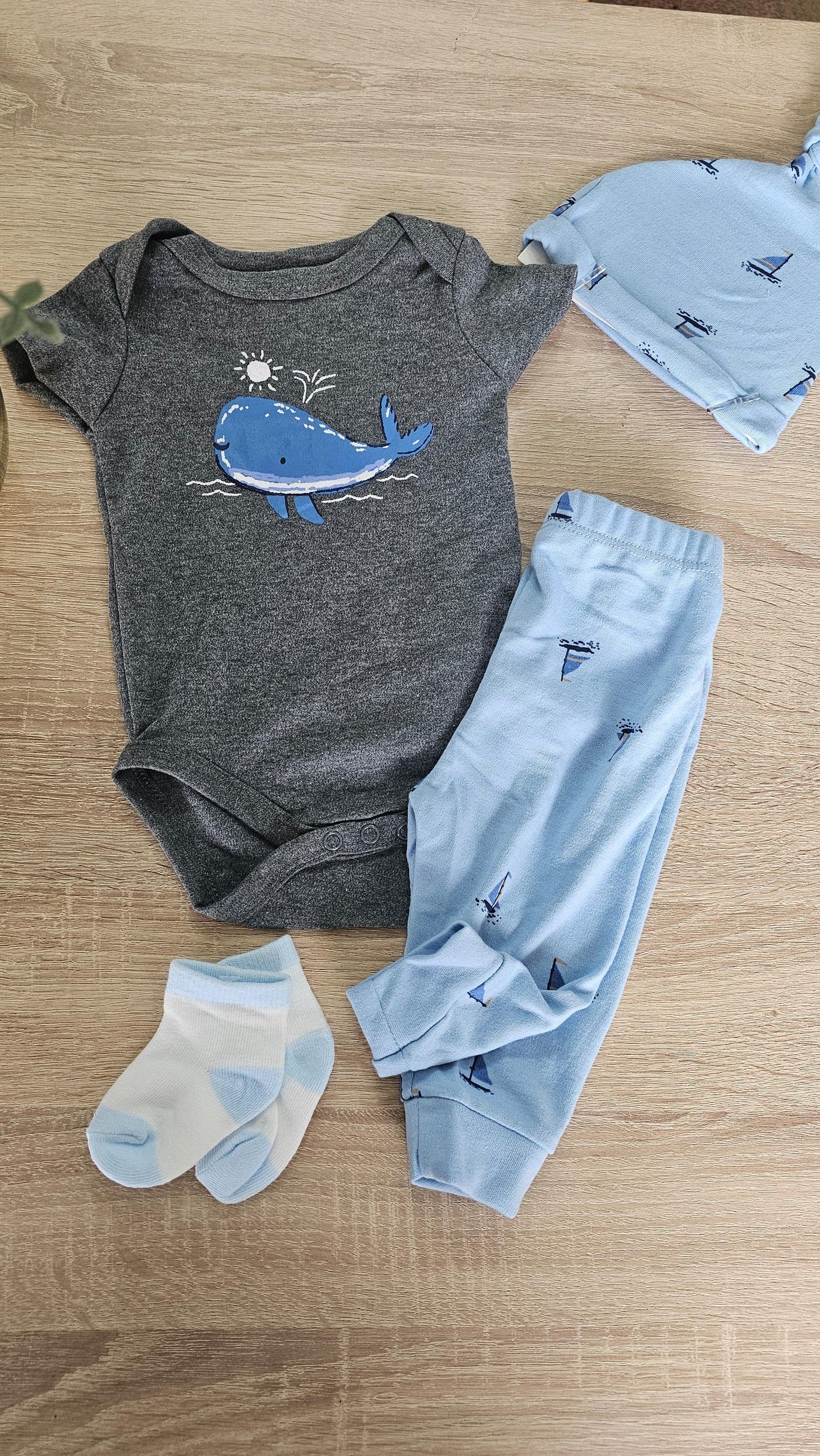 Whale_set