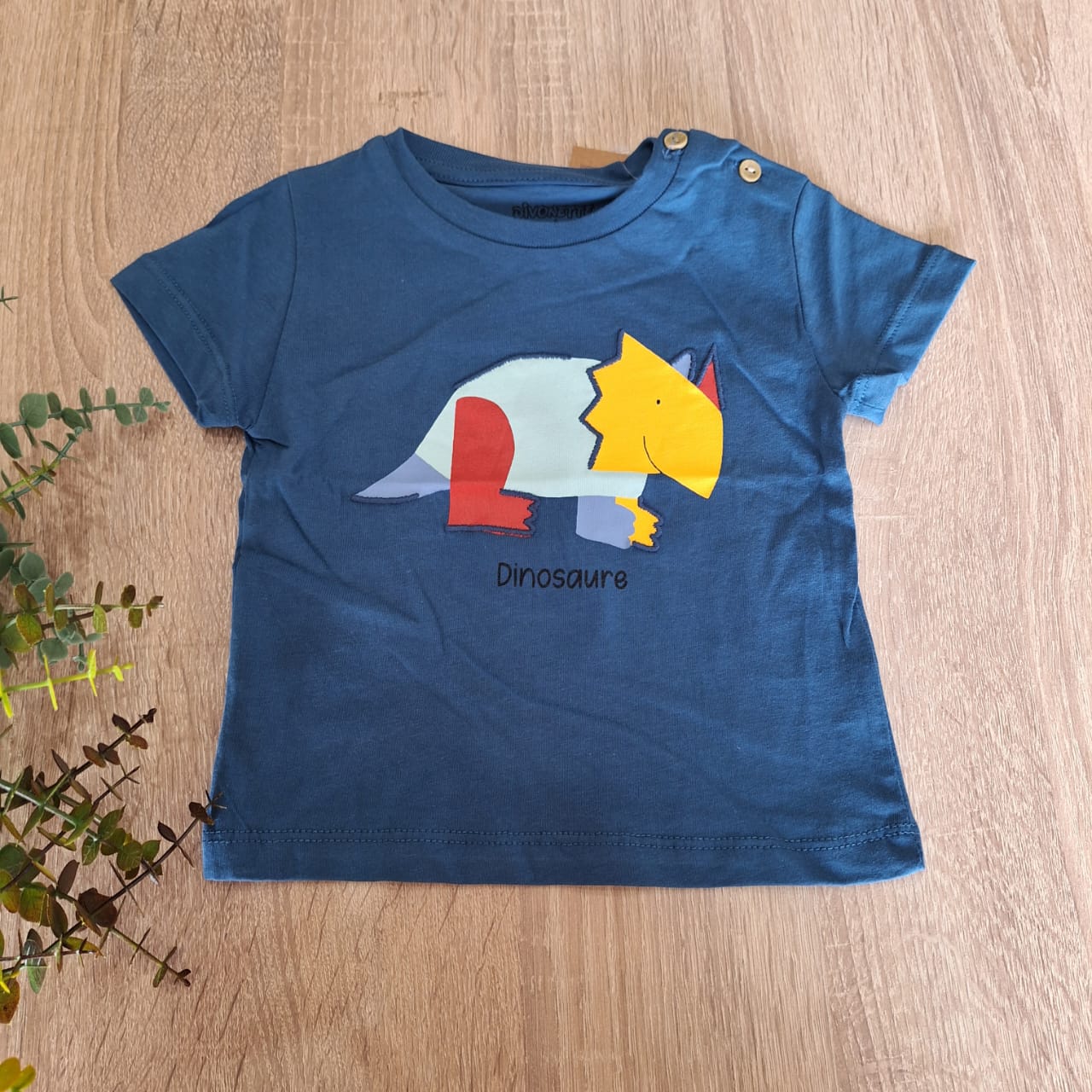 dinosaure tshirt