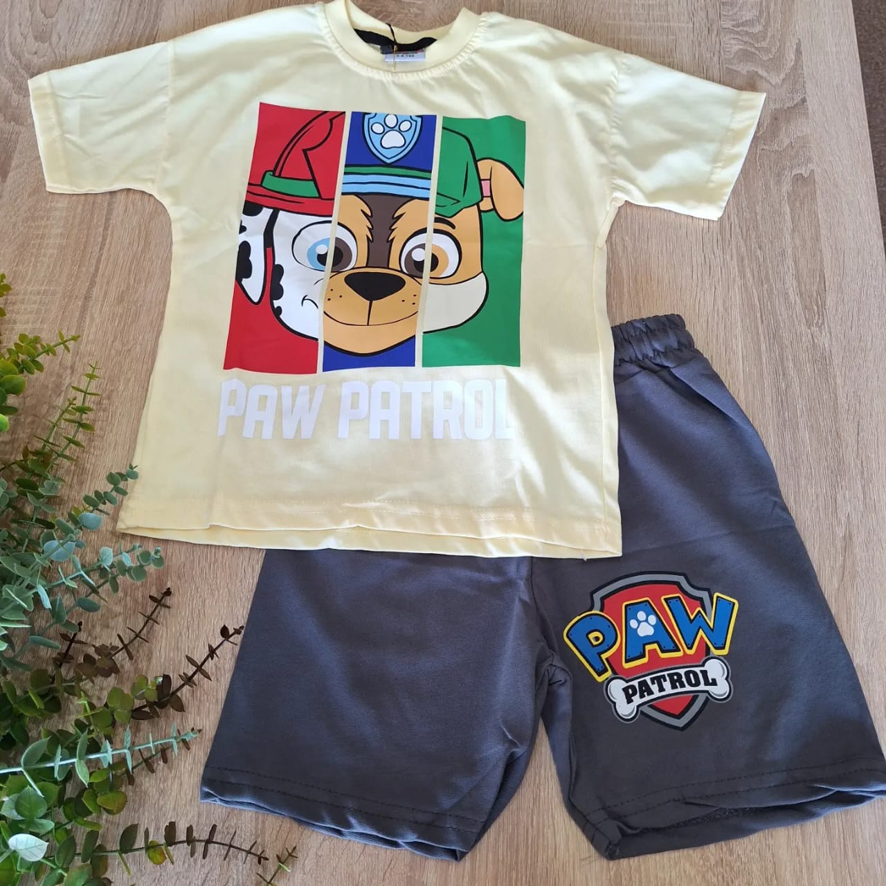 paw short grey lil