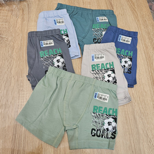 Reach goals boxer 4-5  years