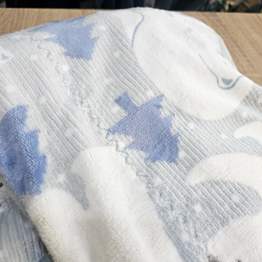 Teddy bear - white and blue blancket