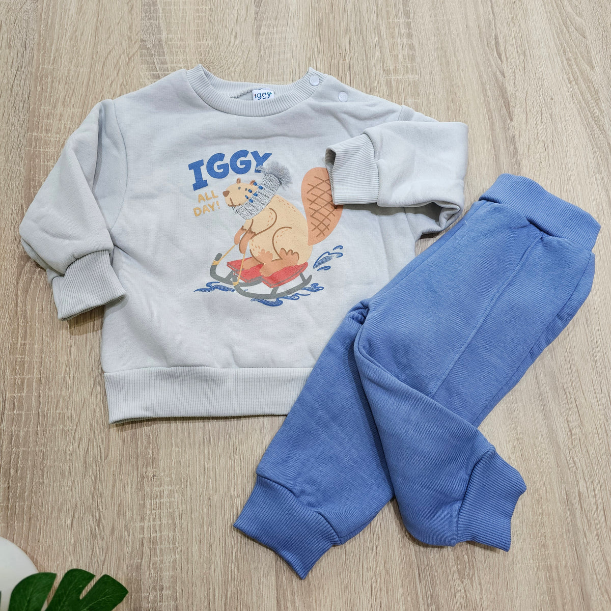 All day Blue- Iggy Fleece set