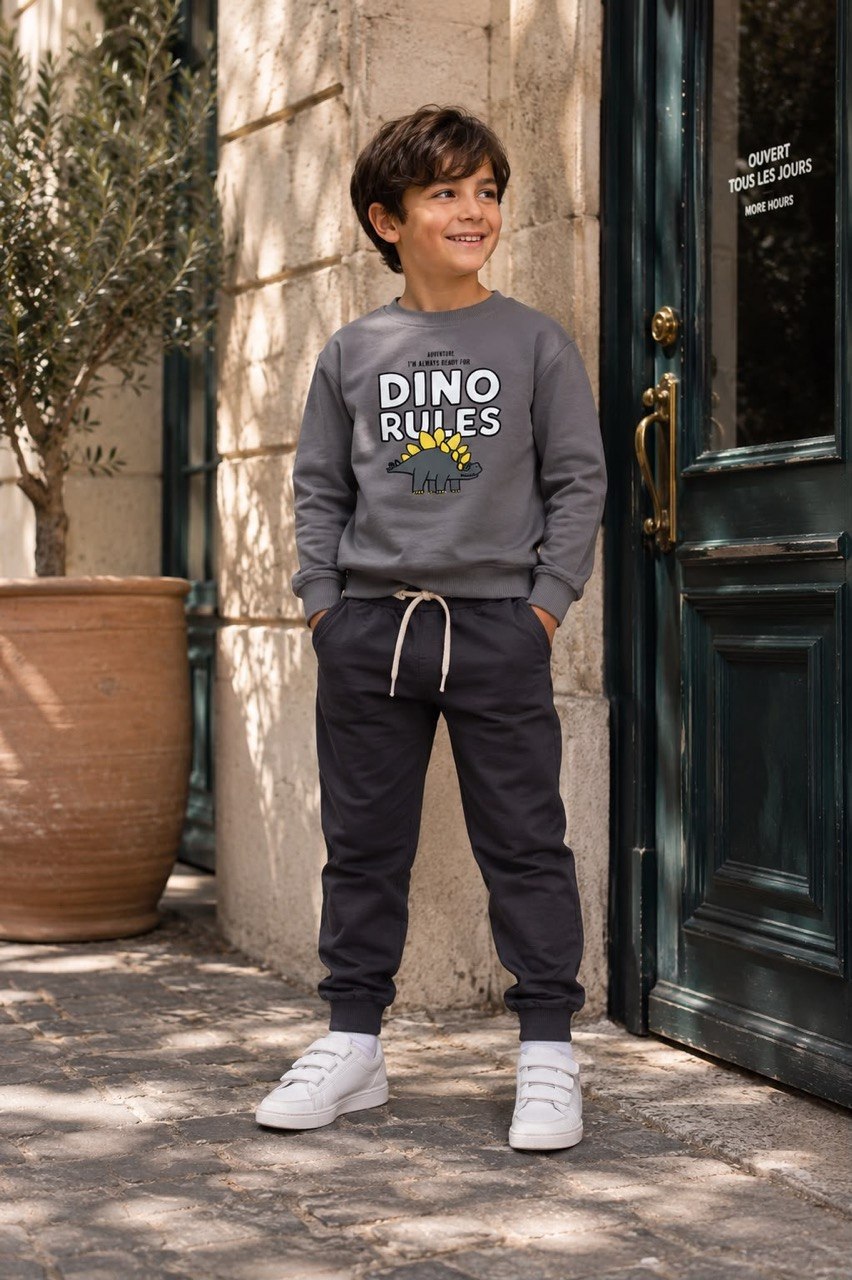 Dino Grey- Cotton Set