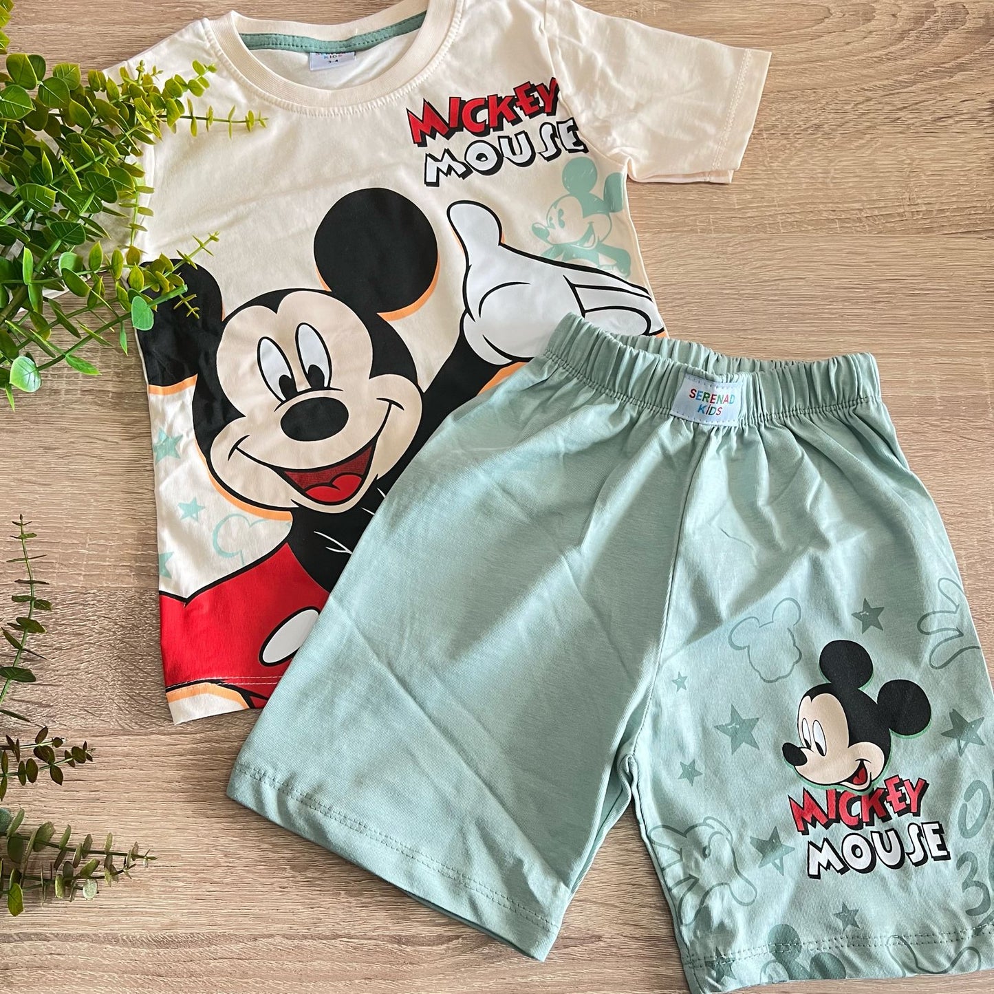 Mickey mouset set / 3-4 years