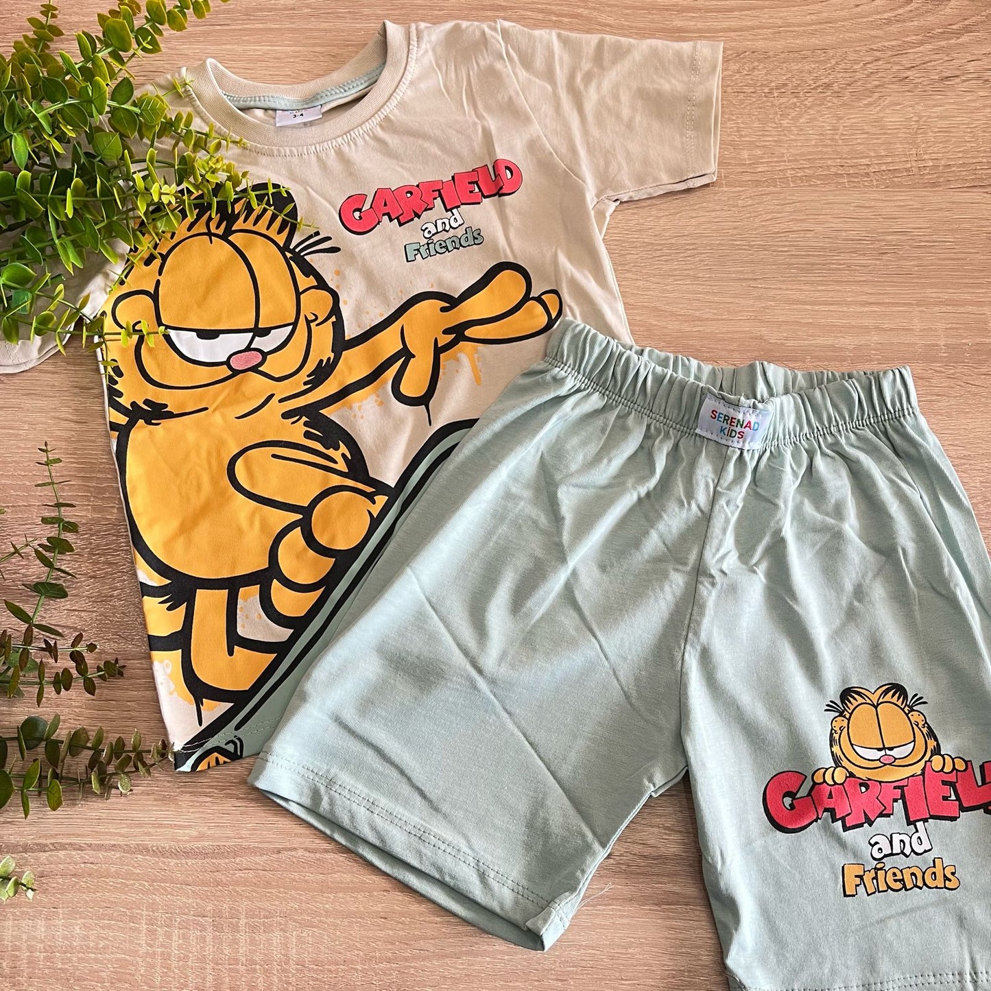 Garfield / 9-10 years