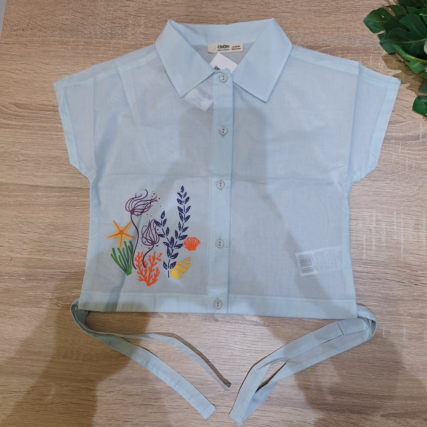 Aqua shirt -Cikoby