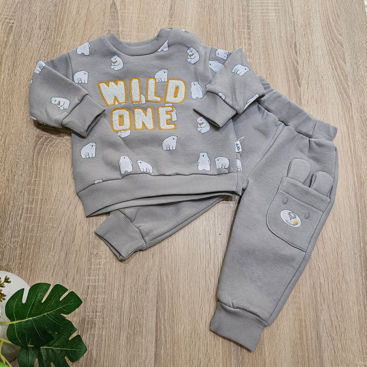 Wild one grey - Iggy Fleece set